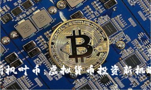 全面解析枫叶币：虚拟货币投资新机遇与风险