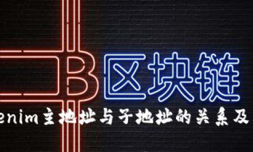 理解Tokenim主地址与子地址的关系及其重要性