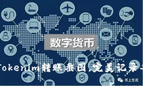 轻松生成Tokenim转账截图，完美记录每一次交易