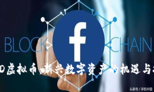  FCD虚拟币：新兴数字资产的机遇与挑战
