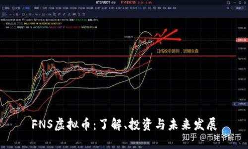 FNS虚拟币：了解、投资与未来发展