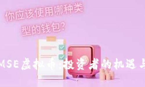 揭秘MSE虚拟币：投资者的机遇与挑战