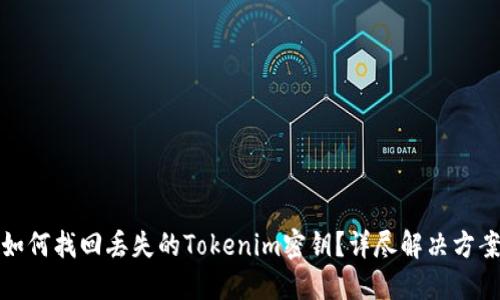 如何找回丢失的Tokenim密钥？详尽解决方案