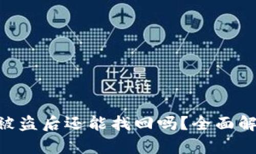 Tokenim钱包被盗后还能找回吗？全面解析与解决方案