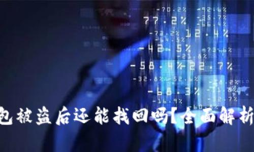 Tokenim钱包被盗后还能找回吗？全面解析与解决方案