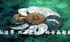 破解金融边界：双币虚拟