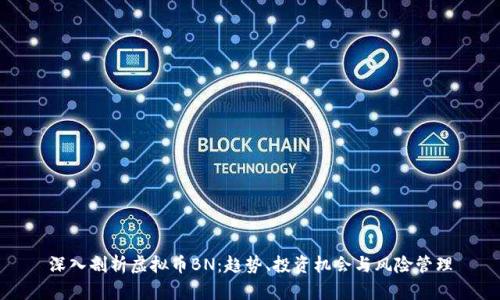 深入剖析虚拟币BN：趋势、投资机会与风险管理