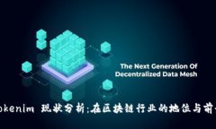 Tokenim 现状分析：在区块链