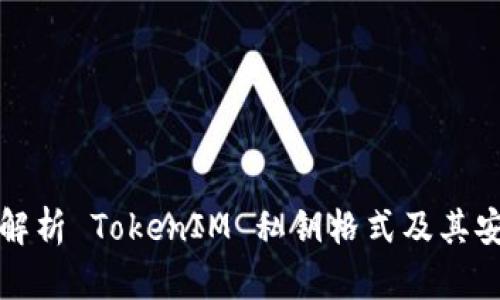 深入解析 TokenIM 私钥格式及其安全性
