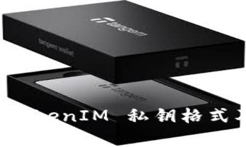 深入解析 TokenIM 私钥格式及其安全性