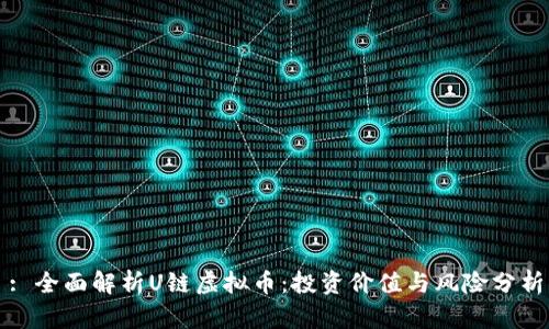 : 全面解析U链虚拟币：投资价值与风险分析