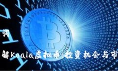 和关键词深入了解Koala虚拟