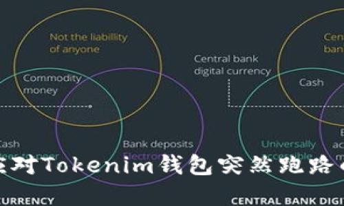 如何应对Tokenim钱包突然跑路的情况
