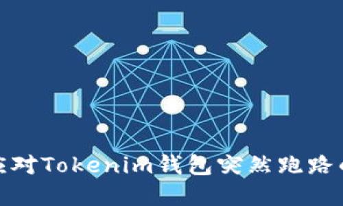 如何应对Tokenim钱包突然跑路的情况