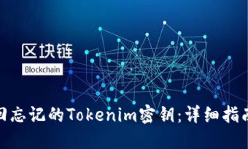 如何找回忘记的Tokenim密钥：详细指南和步骤