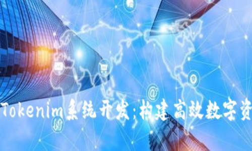 : 全面解析Tokenim系统开发：构建高效数字资产管理平台
