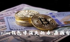 如何处理Tokenim钱包中消失