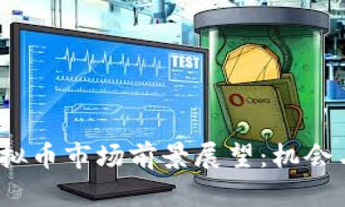 2024年虚拟币市场前景展望：机会与挑战并存