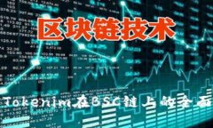 使用Tokenim在BSC链上的全面