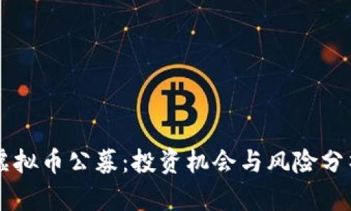 虚拟币公募：投资机会与风险分析