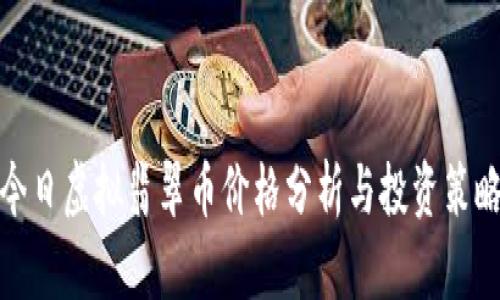 今日虚拟翡翠币价格分析与投资策略
