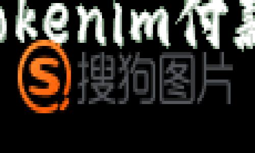 如何安全使用Tokenim付款密码：完整指南