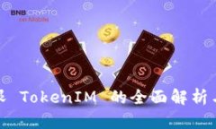 : 区块天眼 TokenIM 的全面解