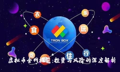  虚拟币全网概览：投资与风险的深度解析