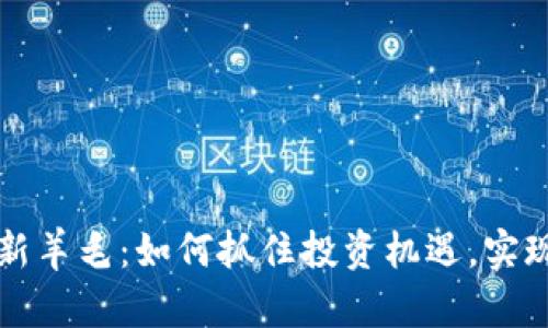虚拟币最新羊毛：如何抓住投资机遇，实现财富增值