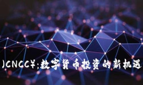 天使币（CNCC）：数字货币投资的新机遇与挑战