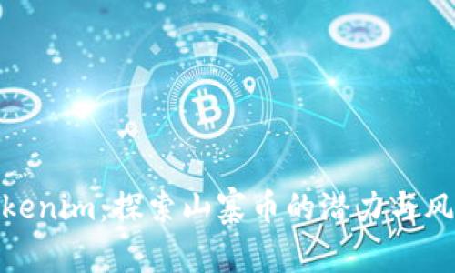 Tokenim：探索山寨币的潜力与风险
