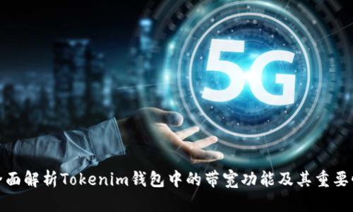 全面解析Tokenim钱包中的带宽功能及其重要性