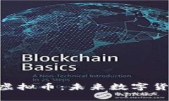 深入了解FEB虚拟币：未来