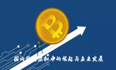 国内稳定虚拟币的崛起与