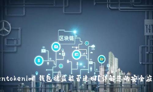 : Tokentokenim 钱包被盗能否追回？详解您的安全应对策略