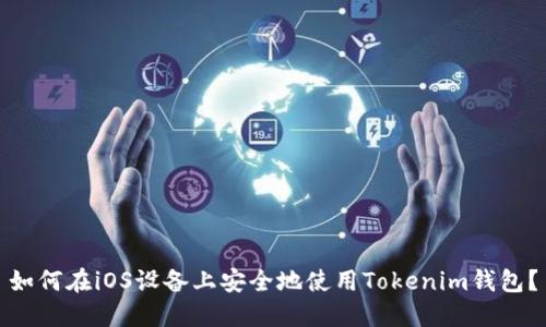 如何在iOS设备上安全地使用Tokenim钱包？