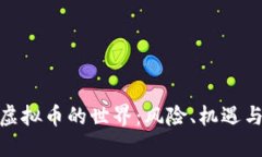 探索地下虚拟币的世界：