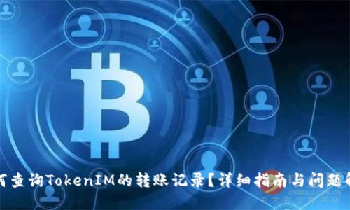 如何查询TokenIM的转账记录？详细指南与问题解答