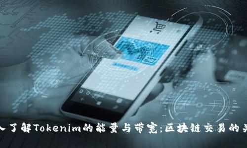 深入了解Tokenim的能量与带宽：区块链交易的关键