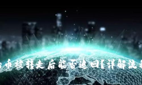 : Tokenim的币被转走后能否追回？详解流程与注意事项