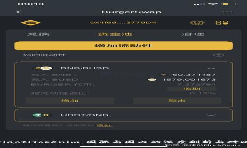 ziaotiTokenim：国际与国内的深度剖析与对比