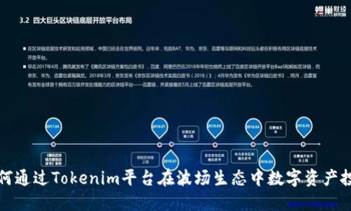 如何通过Tokenim平台在波场生态中数字资产投资