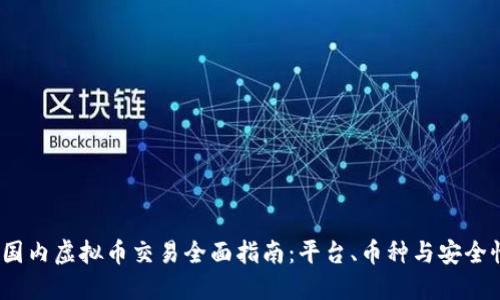  国内虚拟币交易全面指南：平台、币种与安全性