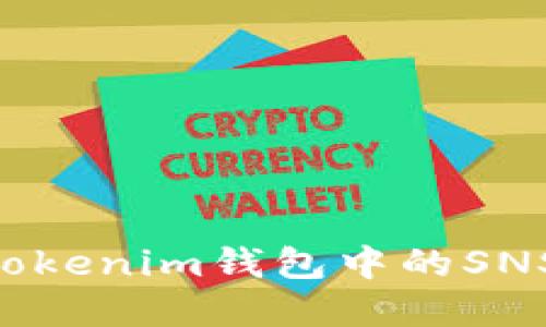 探秘Tokentokenim钱包中的SNS币应用场景