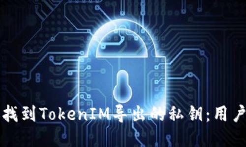 如何找到TokenIM导出的私钥：用户指南