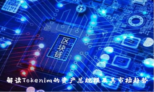 解读Tokenim的资产总规模及其市场趋势