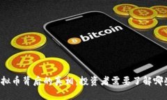 王鹏飞虚拟币背后的真相