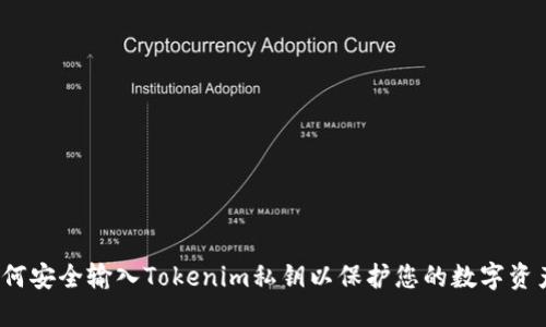 如何安全输入Tokenim私钥以保护您的数字资产?