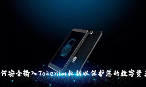 如何安全输入Tokenim私钥以保护您的数字资产?