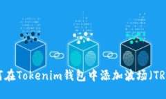 如何在Tokenim钱包中添加波